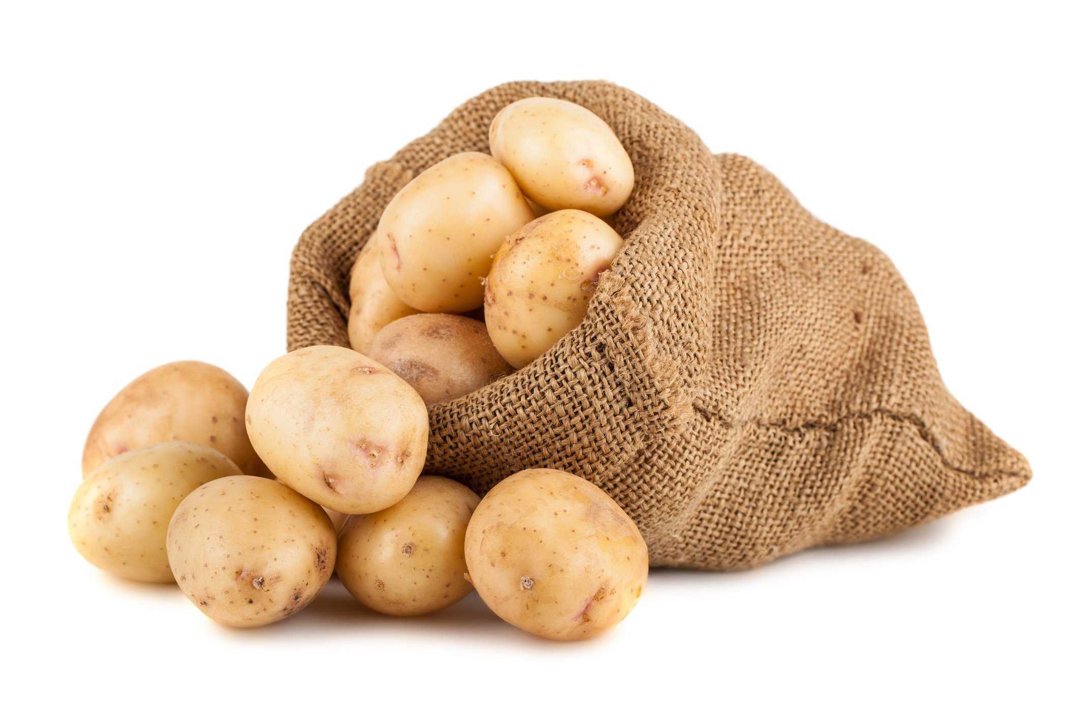 تناول الكثير من البطاطس يمكن أن يكون ضارًا بالحمل