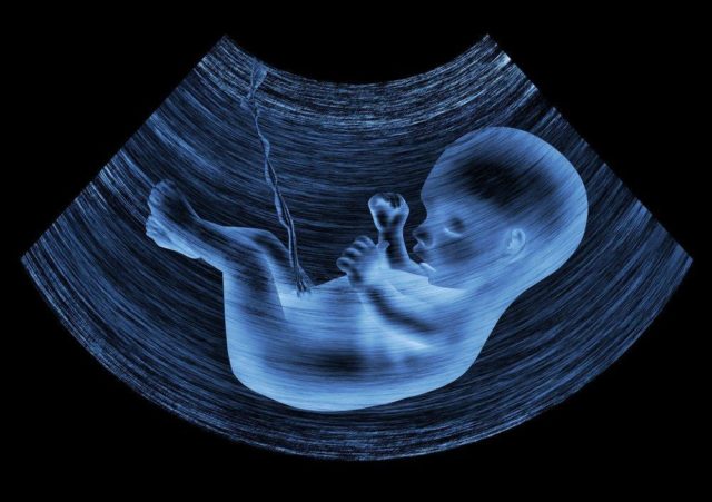 11 حقائق مذهلة عن نمو الجنين في الرحم