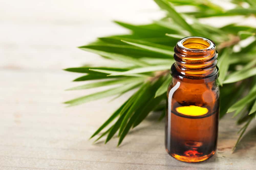 Лечението на екзема с масло от чаено дърво, ефективно ли е?