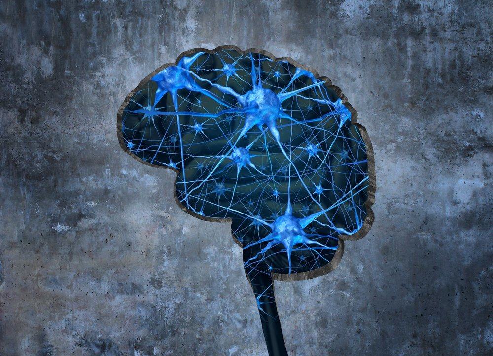 Как могат да се формират спомени в мозъка?