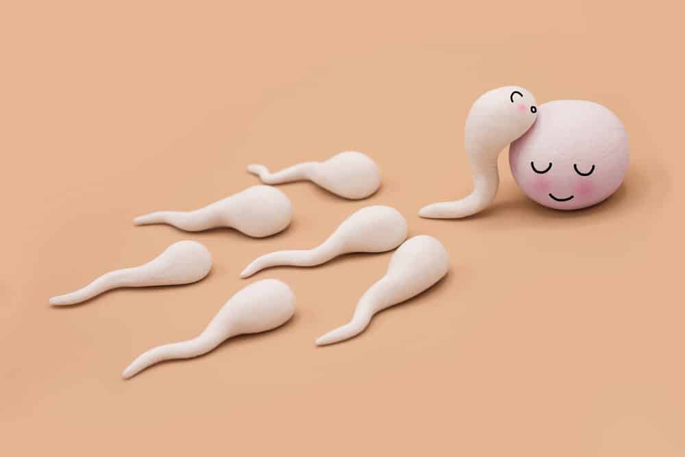 Spermin Vücutta ve Suda Atıldığındaki Hızının Karşılaştırılması