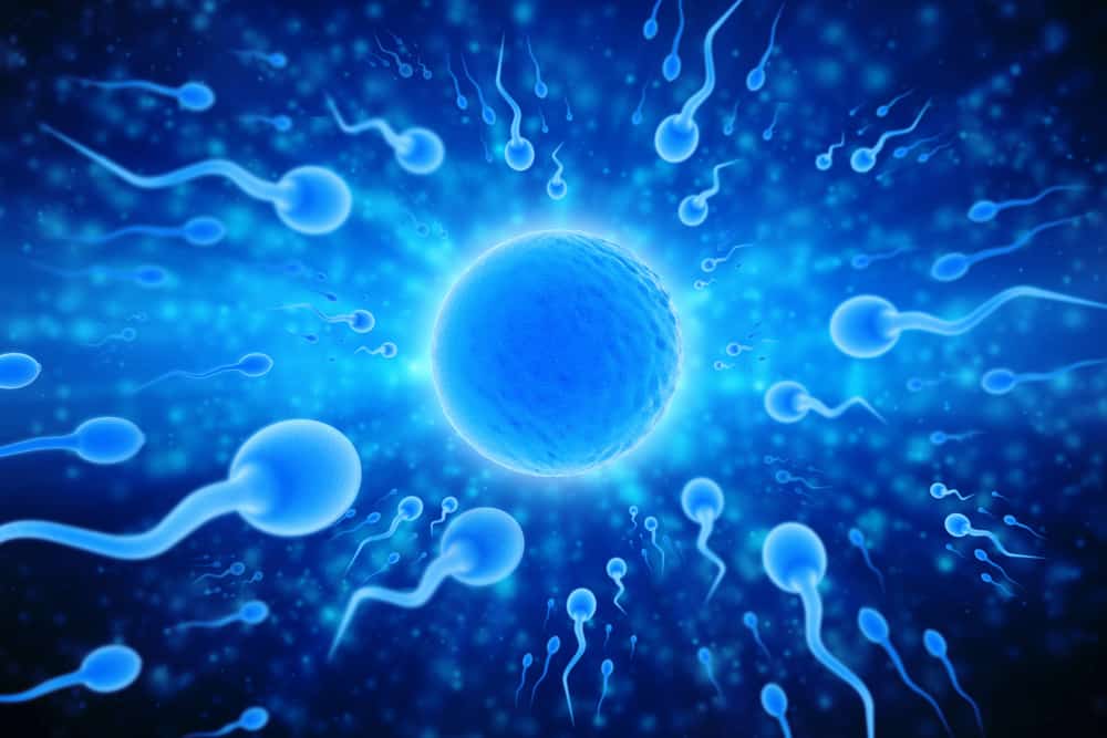 Когато мъжете еякулират, защо се отделят толкова много сперматозоиди?