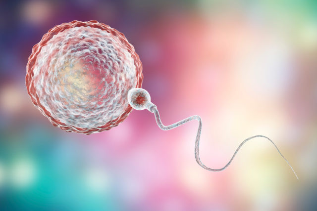 Mengenal PLI, Terapi Suntikan Leukosit untuk Tubuh Ibu "Menolak" Sperma