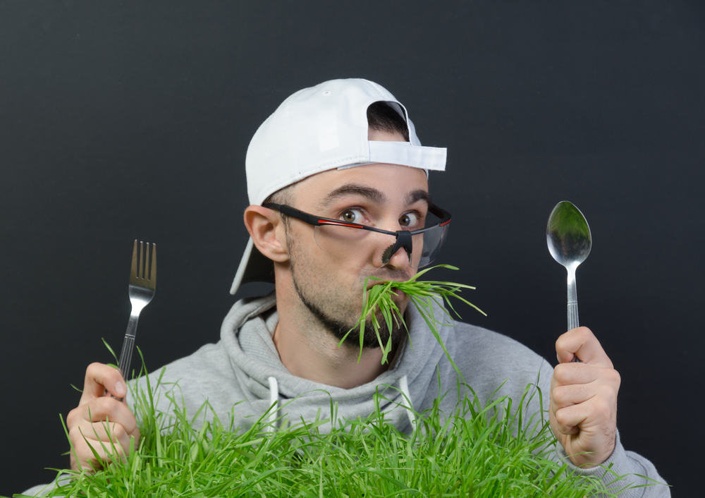 Apa Yang Akan Terjadi Sekiranya Manusia Makan Rumput? Mengapa Tidak Disyorkan?