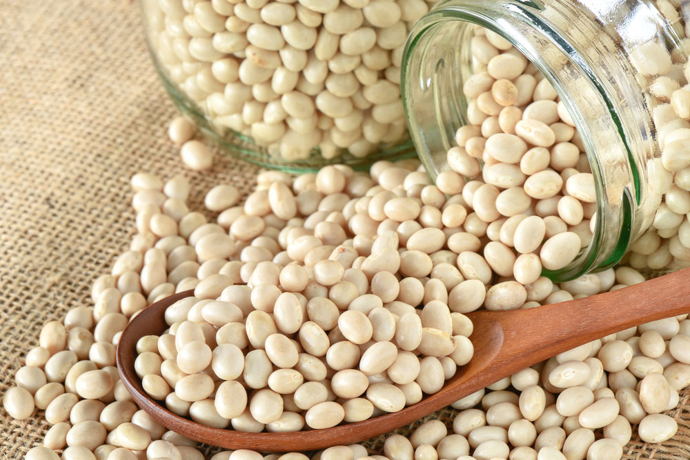 Bukan hanya enak, ini adalah 7 kebaikan kacang navy untuk kesihatan tubuh anda