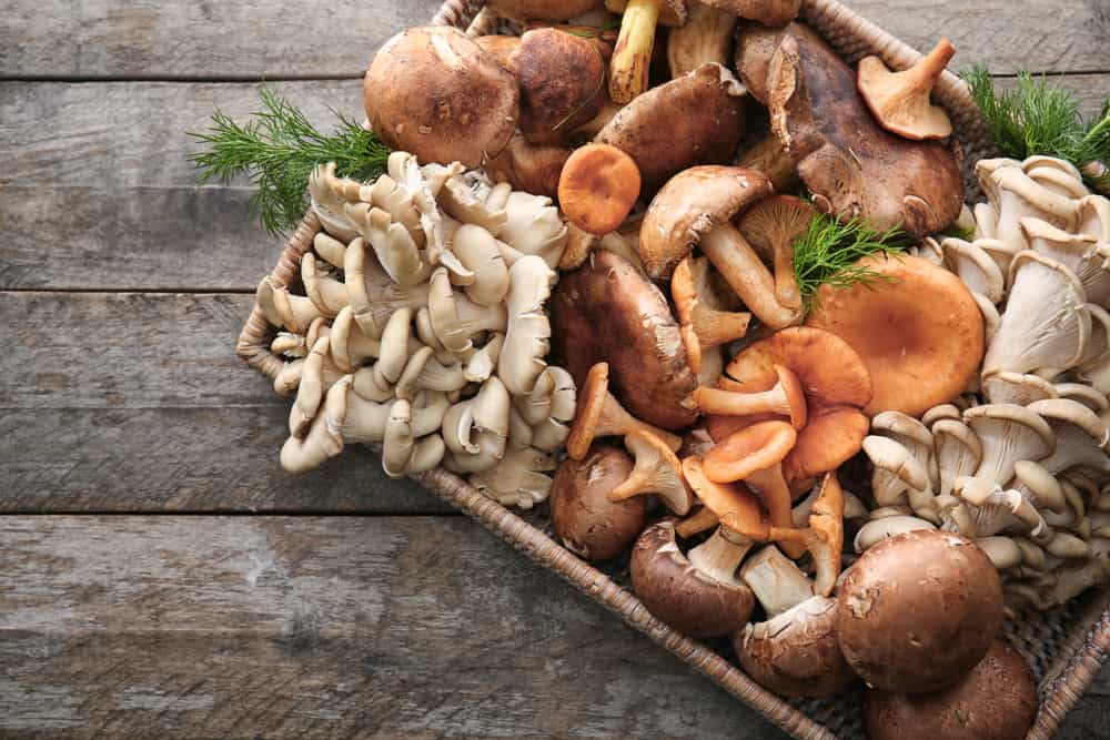 3 ricette di funghi salutari e nutrienti