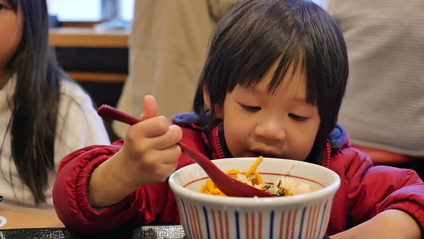 Sekiranya Anda Bimbang Sekiranya Anak Anda Tidak Suka Makan Nasi?