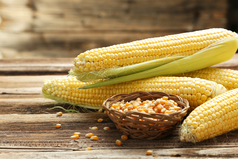 Диабетиците могат да ядат царевица, стига да спазват тези указания